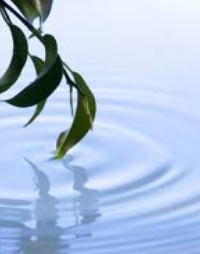 Picture for How to create an Inspired Life! package